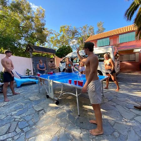 הוסטל סנשיין ביץ' Dolphins Backpackers מראה חיצוני תמונה