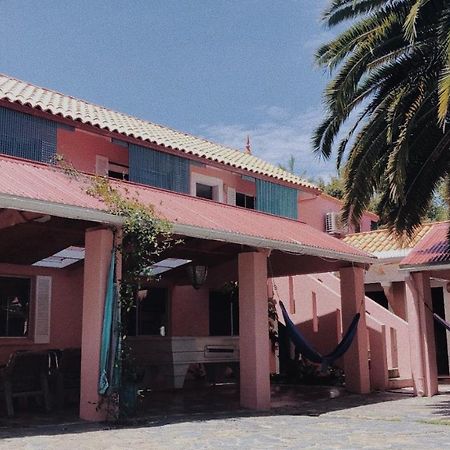 הוסטל סנשיין ביץ' Dolphins Backpackers מראה חיצוני תמונה