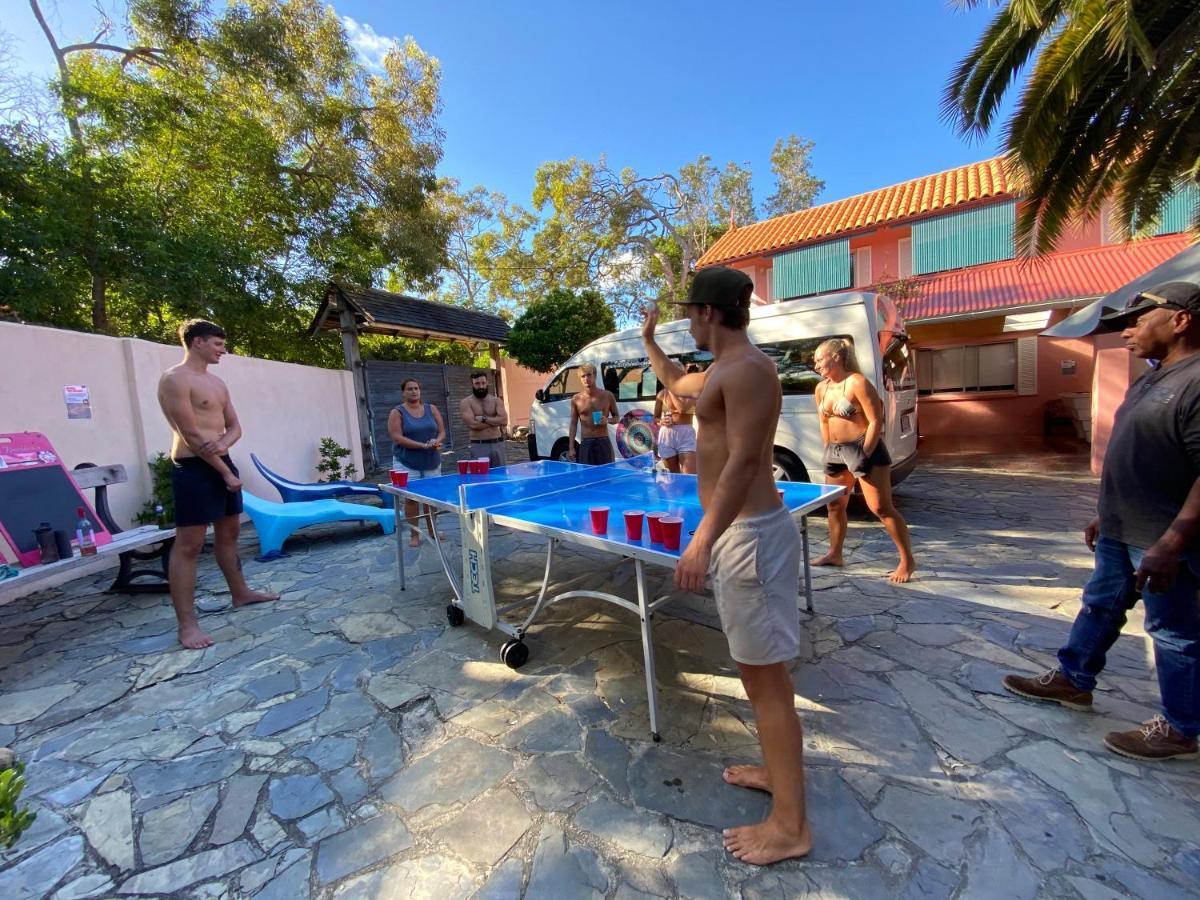 הוסטל סנשיין ביץ' Dolphins Backpackers מראה חיצוני תמונה