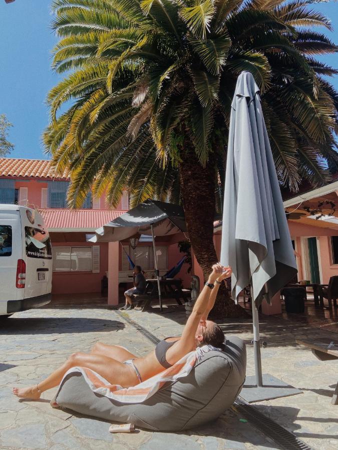 הוסטל סנשיין ביץ' Dolphins Backpackers מראה חיצוני תמונה