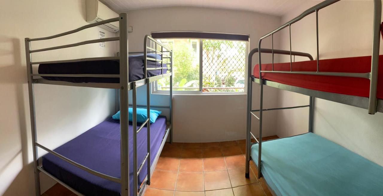 הוסטל סנשיין ביץ' Dolphins Backpackers מראה חיצוני תמונה