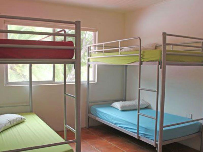 הוסטל סנשיין ביץ' Dolphins Backpackers מראה חיצוני תמונה